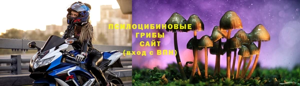 ПСИЛОЦИБИНОВЫЕ ГРИБЫ Бородино