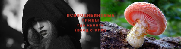 прущий лед Верея