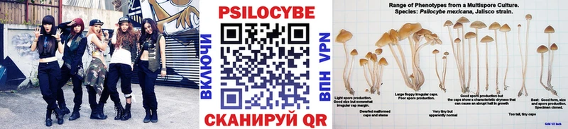 Псилоцибиновые грибы Cubensis  Балаково 